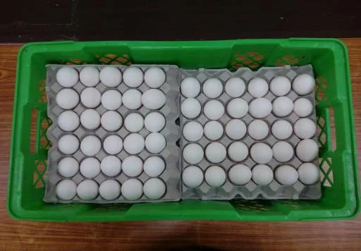 白殼雞蛋 外包裝