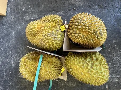 鮮榴槤 外包裝