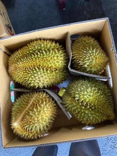 鮮榴槤 外包裝