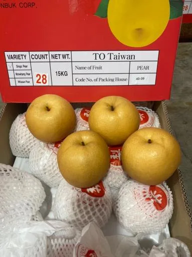 鮮梨 外包裝