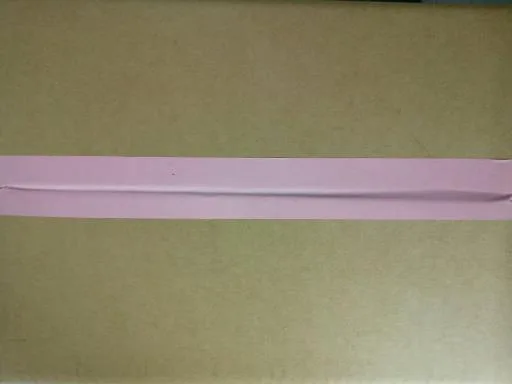 雞胸肉捲-100入 外包裝