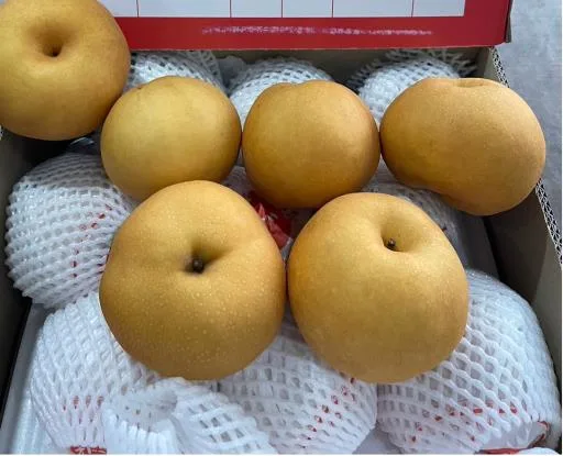 鮮梨 外包裝