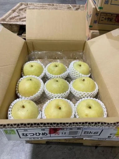 鮮梨 外包裝