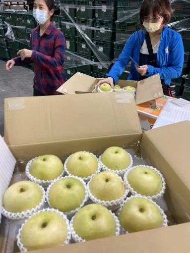 鮮梨 外包裝