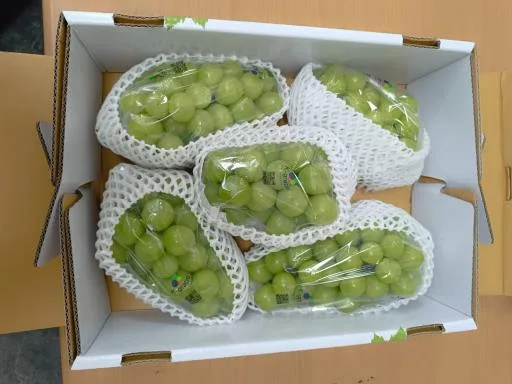 葡萄 外包裝