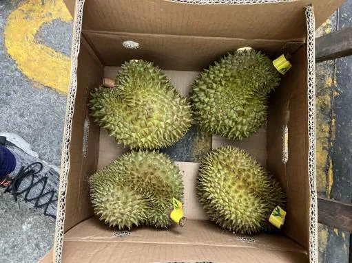 鮮榴槤 外包裝