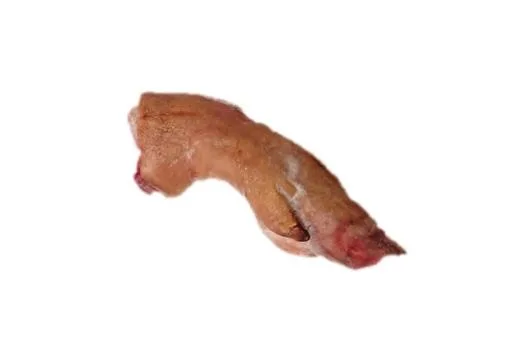 後腳 外包裝