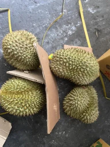 鮮榴槤 外包裝