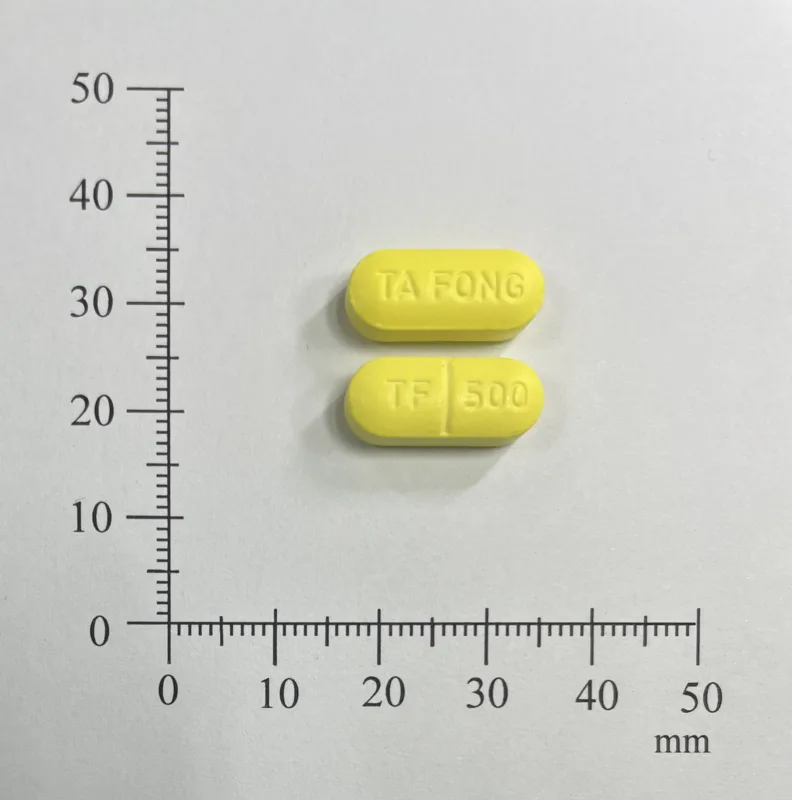 “大豐”痛炎好膜衣錠500毫克外觀