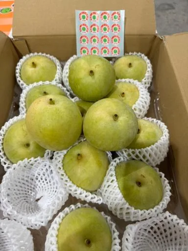 鮮梨 外包裝