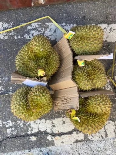 鮮榴槤 外包裝