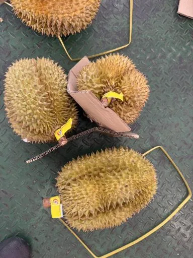 榴槤 外包裝