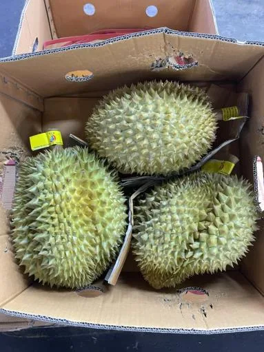 鮮榴槤 外包裝