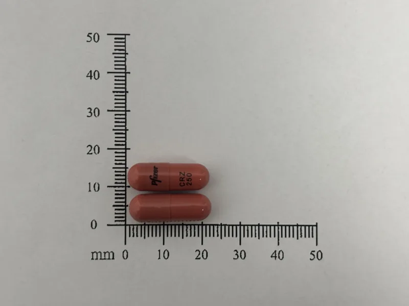 截剋瘤膠囊250毫克外觀