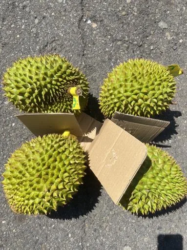 鮮榴槤 外包裝