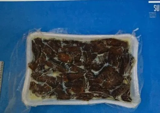 脆皮烤鴨 外包裝