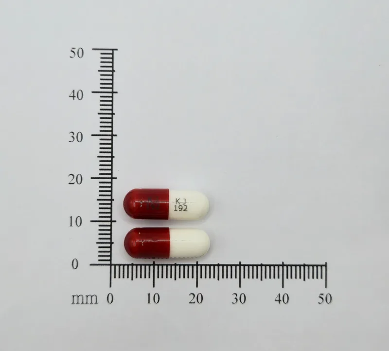 “國嘉”健力骨膠囊 250 毫克外觀