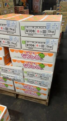 鮮梨 外包裝