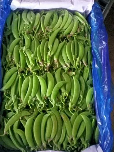 甜豆莢 外包裝