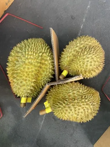 鮮榴槤 外包裝