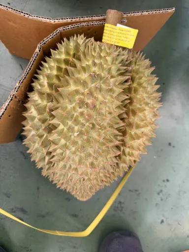 榴槤 外包裝