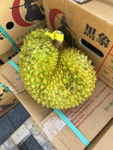 鮮榴槤 外包裝