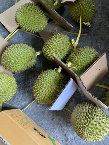 鮮榴槤 外包裝
