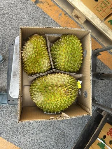 榴槤 外包裝