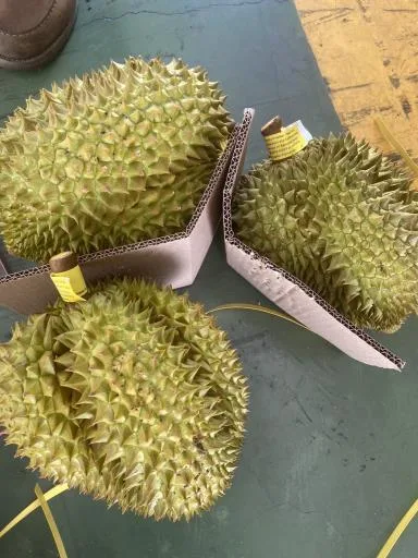 鮮榴槤 外包裝