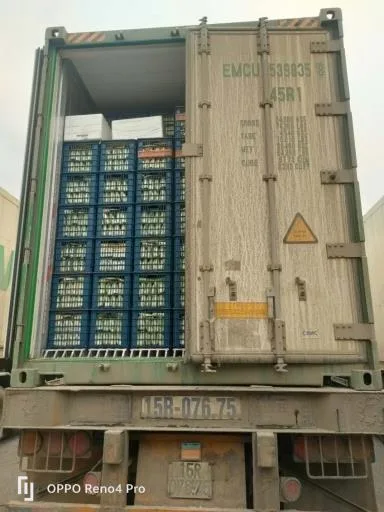 白菜心 外包裝