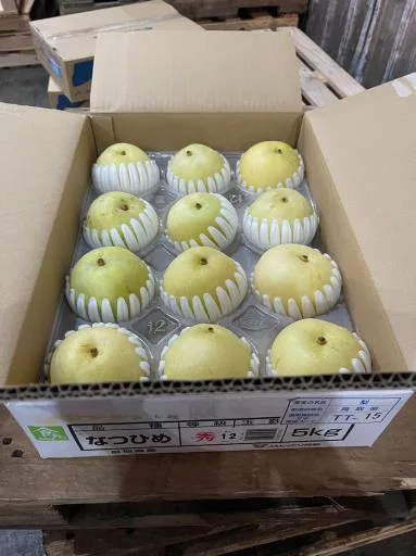 鮮梨 外包裝