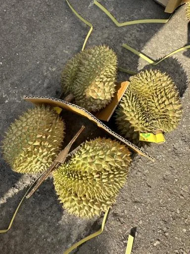 榴槤 外包裝