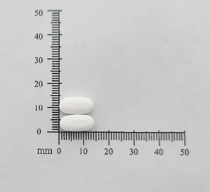 日舒錠250毫克外觀