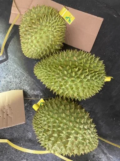 鮮榴槤 外包裝