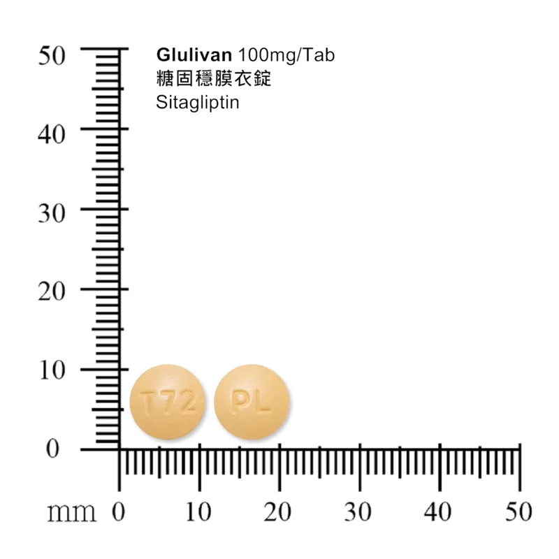 糖固穩膜衣錠100毫克外觀