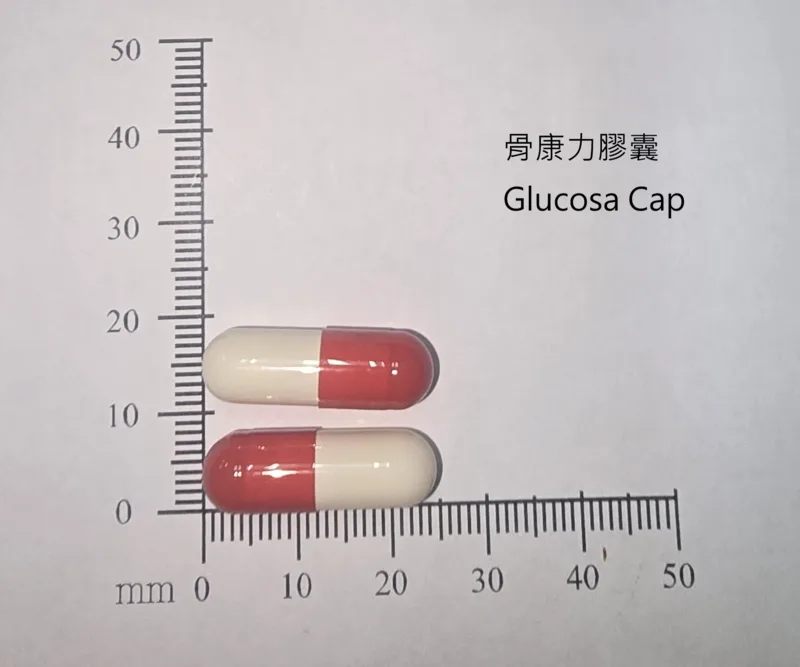 "皇佳"骨康力膠囊500毫克外觀