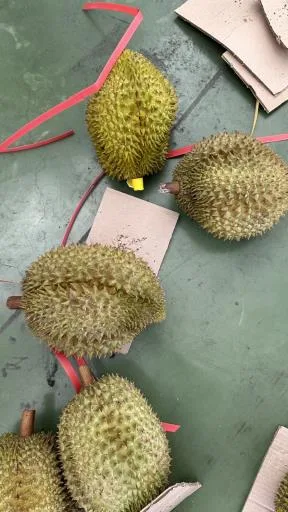 鮮榴槤 外包裝