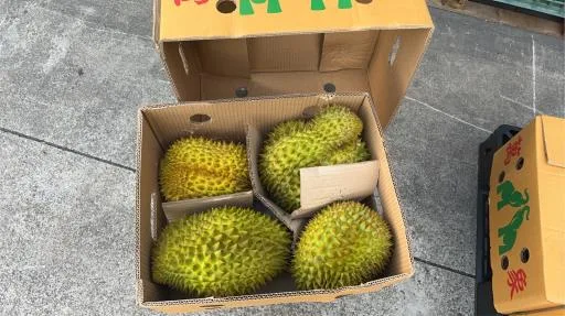 鮮榴槤 外包裝