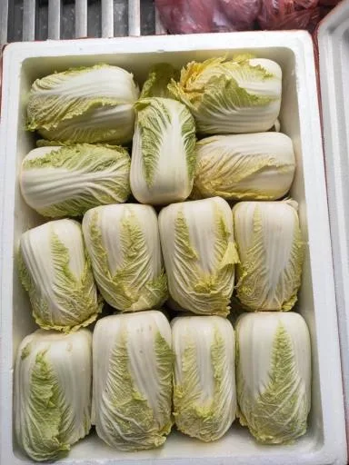 大白菜 外包裝