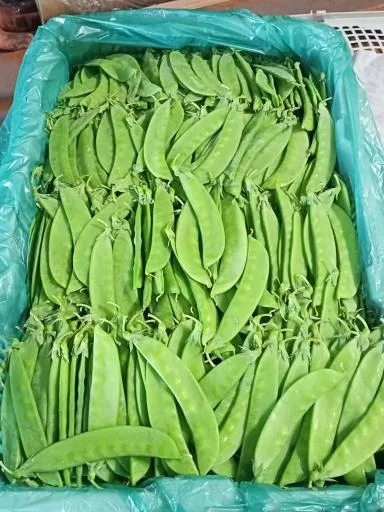 荷蘭豆莢 外包裝