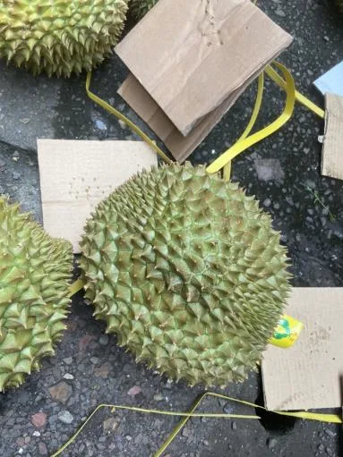 鮮榴槤 外包裝