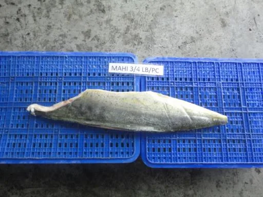 冷凍鱰魚肉片 外包裝