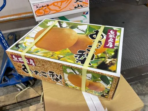鮮梨 外包裝