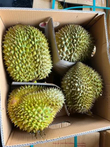 鮮榴槤 外包裝