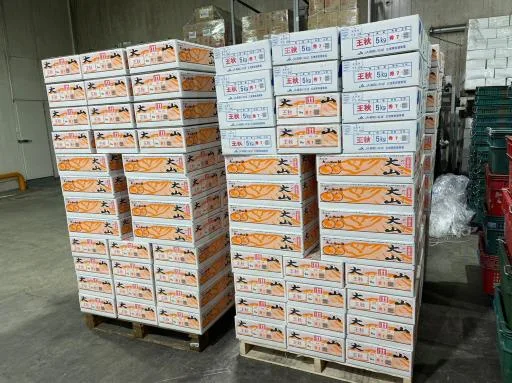 鮮梨 外包裝