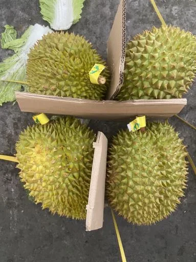 鮮榴槤 外包裝