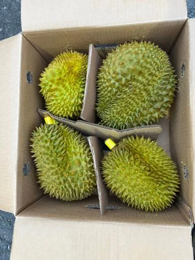 鮮榴槤 外包裝