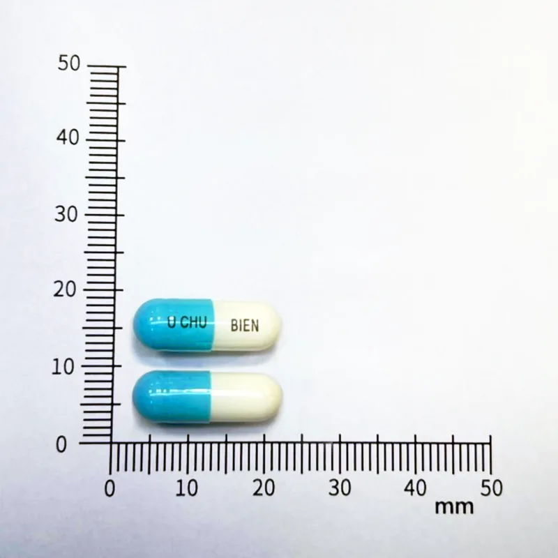 斯斯鼻炎膠囊外觀