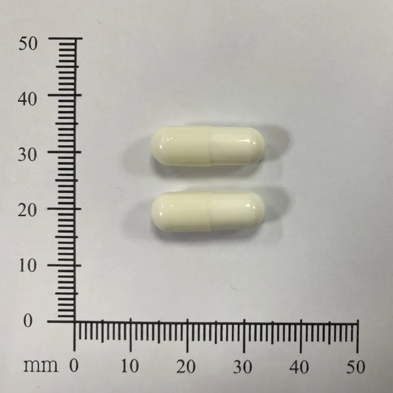 大正百保能鼻炎膠囊外觀