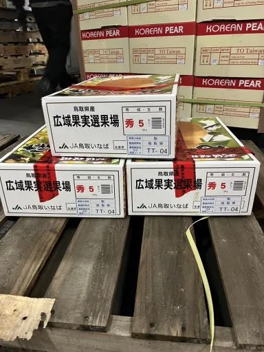 鮮梨 外包裝
